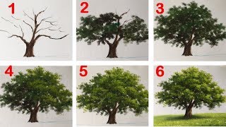How to Paint a Tree with Acrylic lesson 16 How to Paint a Tree with Acrylic lesson 16