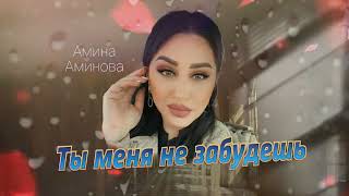 Амина Аминова  - Ты меня не забудешь 2024