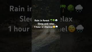 Rain sounds for sleep and relax 😴🍃 #naturesleep #stressrelief #nature #rain #meditation #calm