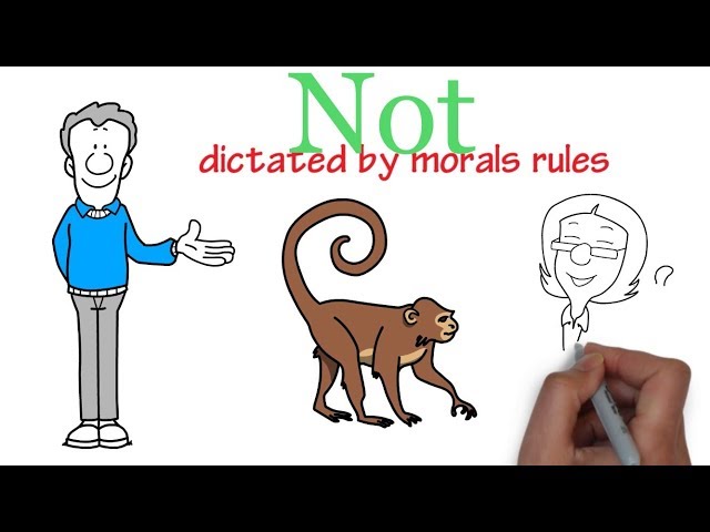 Do Animals Have Rights | Moral Philosophy/Problems