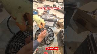 radiator coolant fan switch works #mechanic #video #tutorial #test #diy ##shorts #tips