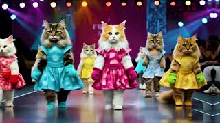 Ramp Walk Cat Walk Ready Glam Paws Haute Cat Ture Cat Nip And Runway Walk It Like A Cat
