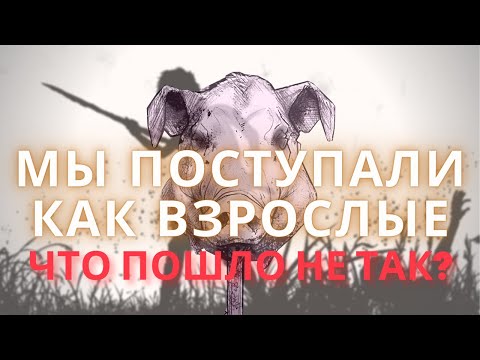 Видео: Что Голдинг говорит о человеческой природе в «Повелителе мух»?