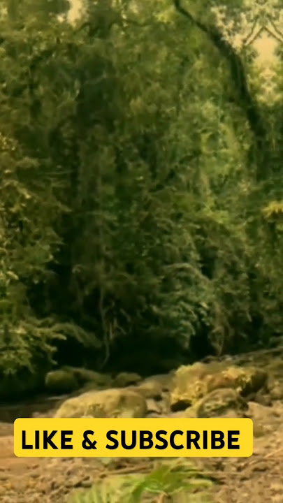 Achmad Albar | Huma diatas bukit | @GemaNusantara-Official