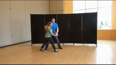 Herndon Social Dancers - 4-9-17 - WCS - The Whip w A Slide