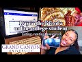 A Day in the Life of an Online College Student 📚