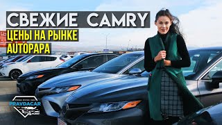 Классные Camry из США. Выбираем Toyota Camry на рынке Autopapa