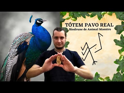 PAVO REAL TÓTEM 🦚 Animal ESPIRITUAL PAVO REAL significado 🗿 ÁGUILA ANIMAL DE PODER y AMULETO 🧙🌎