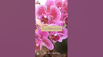 "وقال الذين لا يرجون لقائنا" تلاوة خاشعة للقارئ خالد الجليل من سورة الفرقان.. حالات واتس إسلامي.