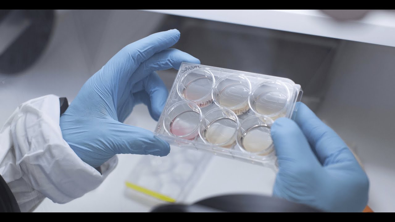 USMLE Live Stream -- First Aid 2019 -- Microbiology 1