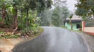 the sound of rain in front of the house| heavy rain for sleeping, studying and relaxing