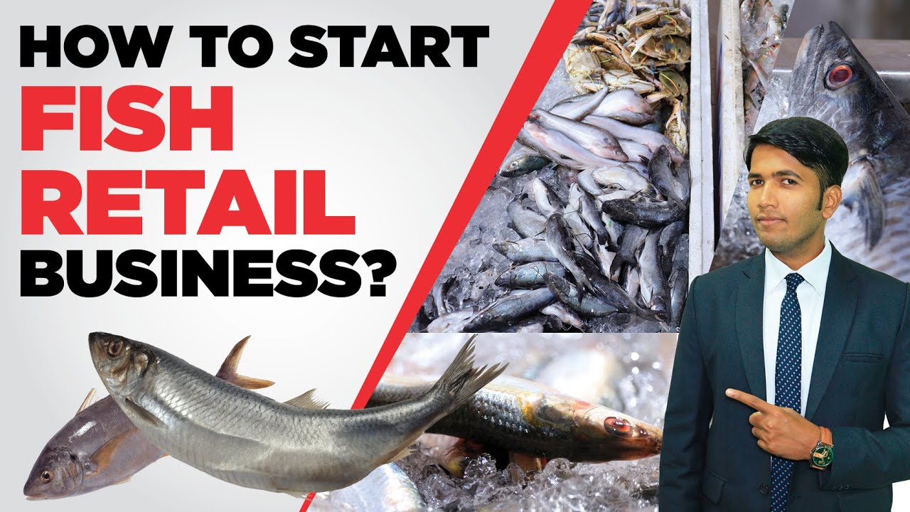 Star Fishing Needs in Latouche Road,Kanpur - Best Fish Retailers