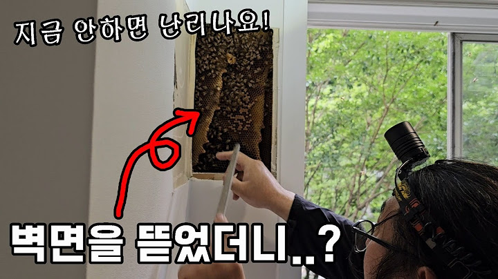 ※긴급출동) 제보 받고 간 현장, 아파트 벽면을 뜯었더니..꿀벌 3만마리가..?!