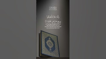 القارئ احمد العجمي سوره الحاقه💞 #قناه #اكسبلور #المصحف #لايك