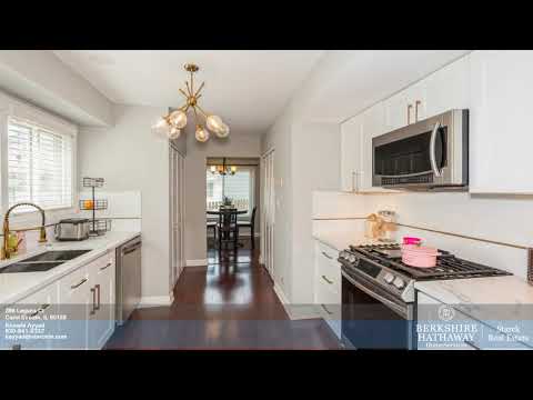 396 Laguna Ct, Carol Stream, IL home video tour