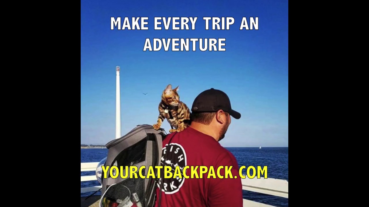 yourcatbackpack