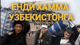 СИЗЛАР УЧУН АКА УКАЛАР