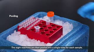 SeekSpace™ Single Cell Spatial Transcriptome How-to-video—05- Preliminary Reverse Transcription