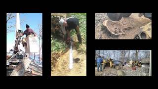 Pfister Tree Service in Auburn, IN | 24-Hour Emergency Tree Service