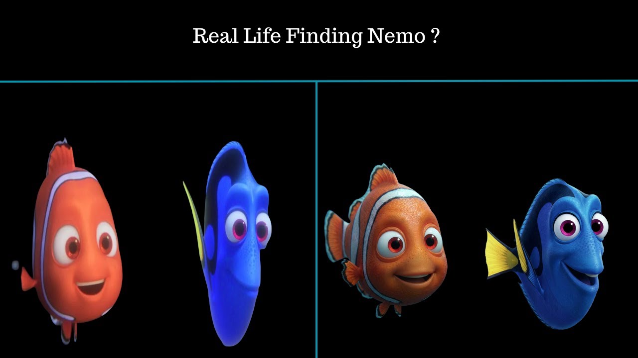 What If Finding Nemo Characters Were Real? | AI Transformation 🌊🐠 - YouTube