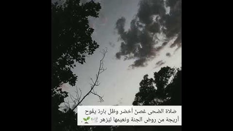 سورة الضحى بصوت جميل ☘️