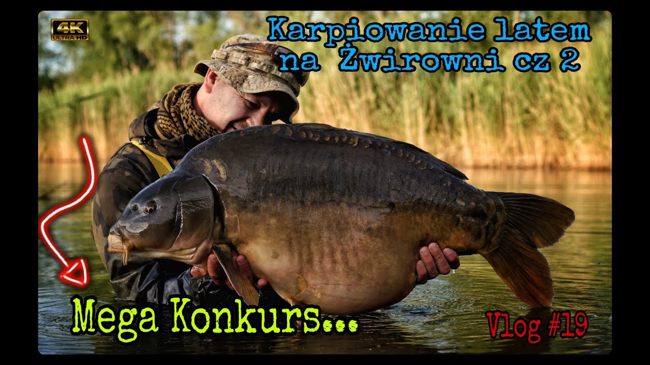 Wielkoąty I Okręgi Sprawdzian 2 Gimnazjum Wielki Karp 24kg - Rekord łowiska/ Żwirownia cz.2 / Vlog #19 - YouTube