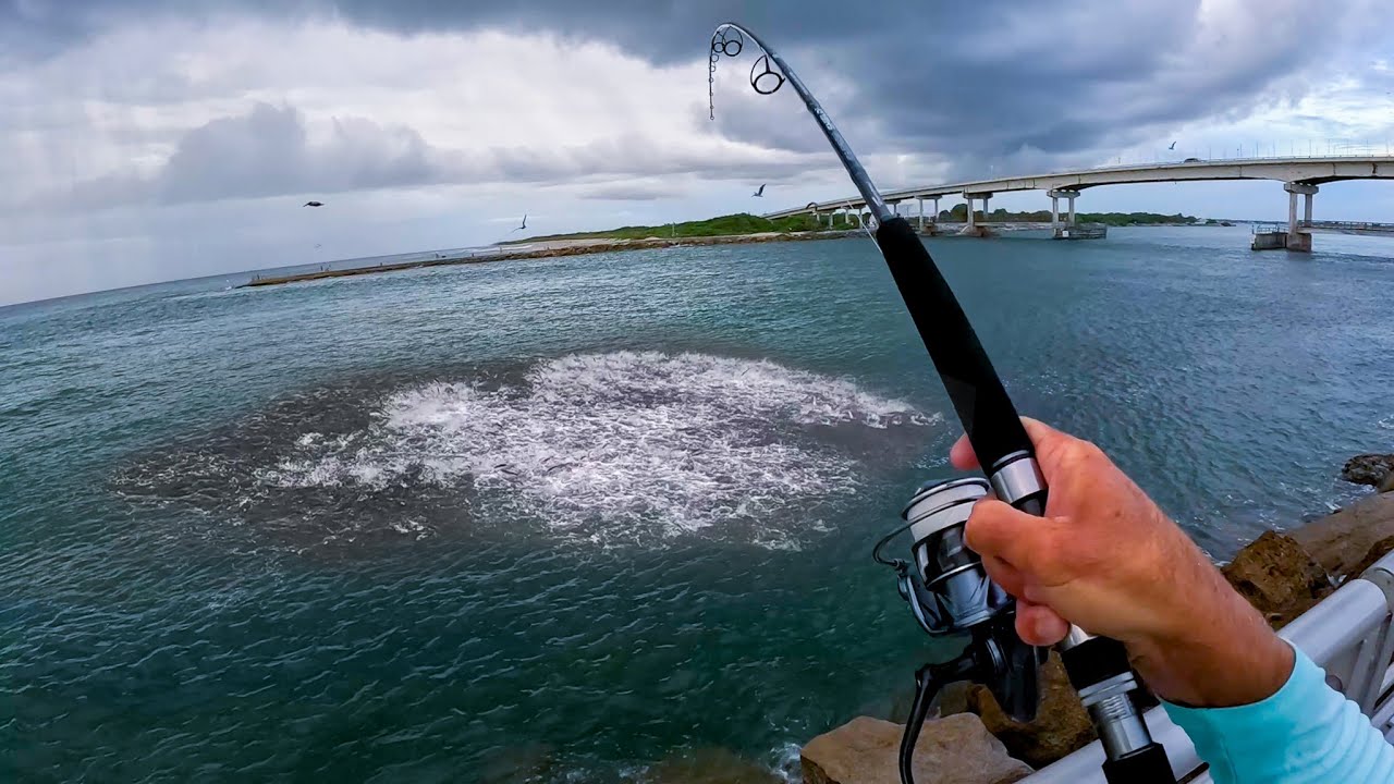 Feeding Frenzy Fishing with BIG Baits on Florida Jetty