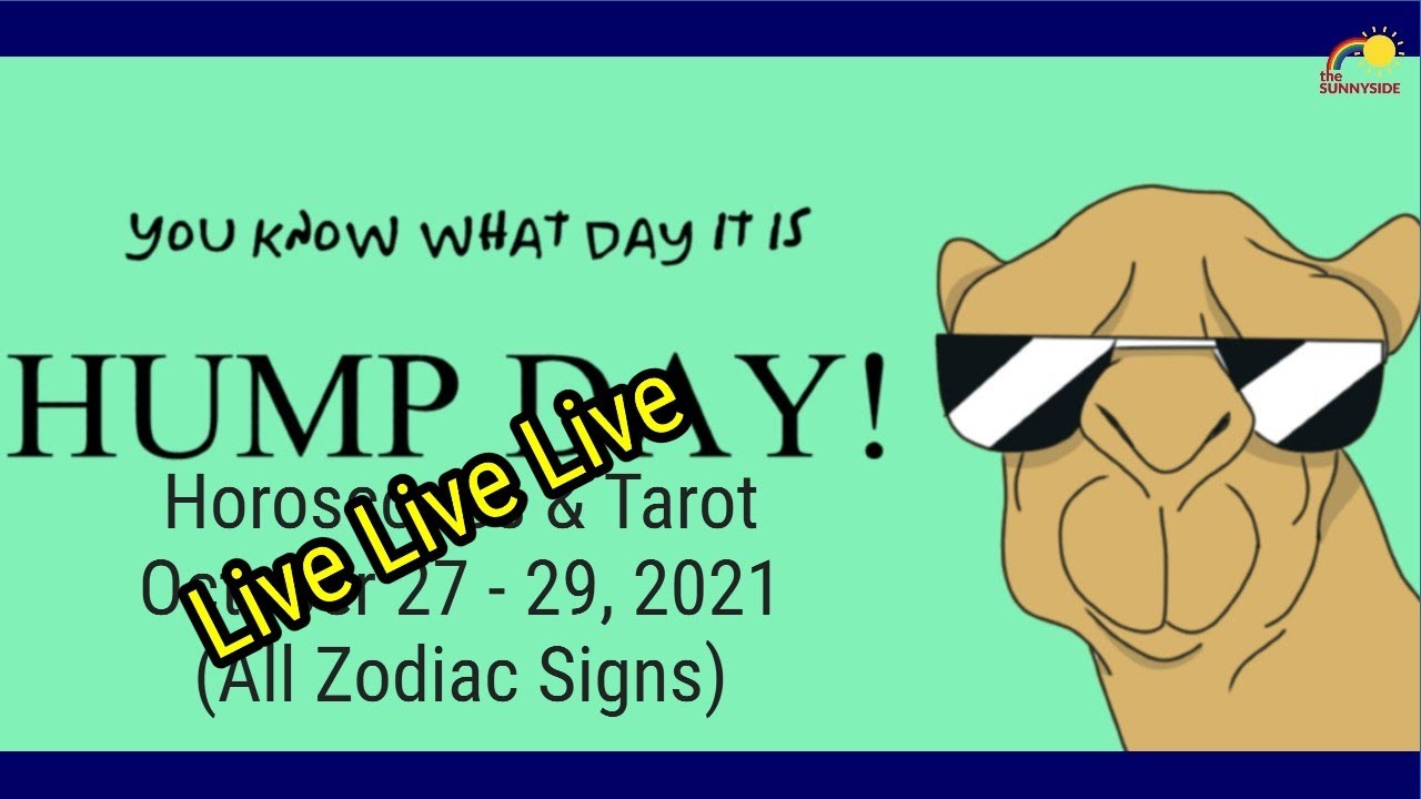 💖 Oct 27 29, 2021 Horoscopes and Tarot Readings! Live at 6.30ish pm