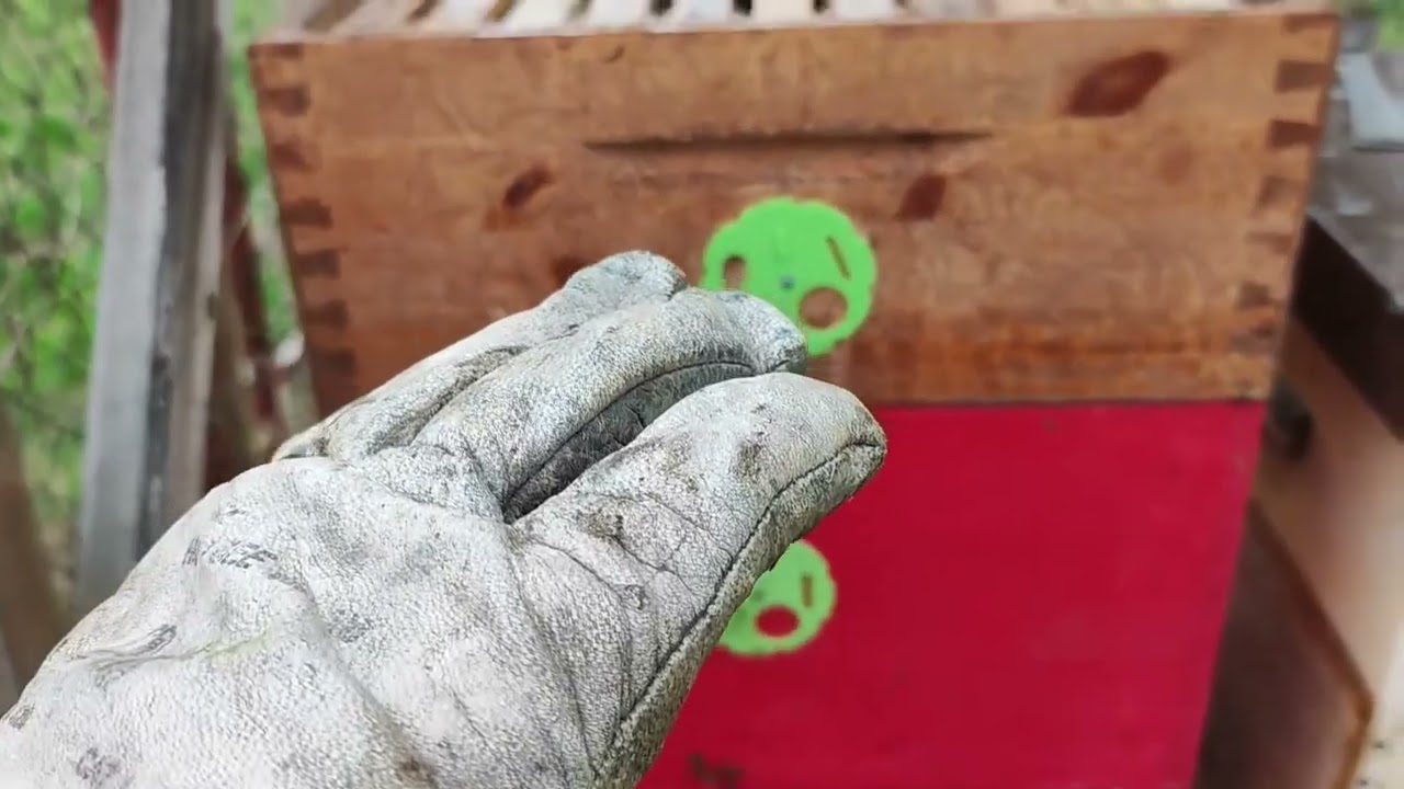 Jarní otočení nástavků ve včelách a přidání jednoho medníku (39x17) v Brně. 04/2023.