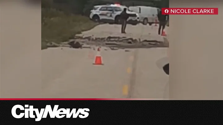 Suspect of mass stabbing in Hollow Water First Nation was out on bail