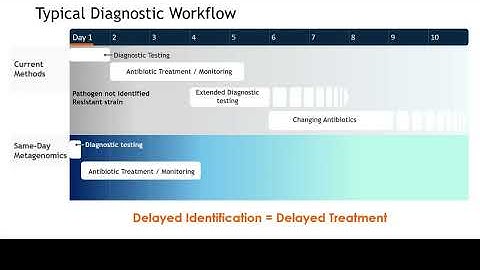 Rapid Diagnostics Revolutionized  One-Step Metagenomics for Faster Infection Detection