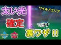 「ワイルドエリア」太い光を確定で出現させる裏ワザ！！【ポケモンソードシールド】【ポケモン剣盾】