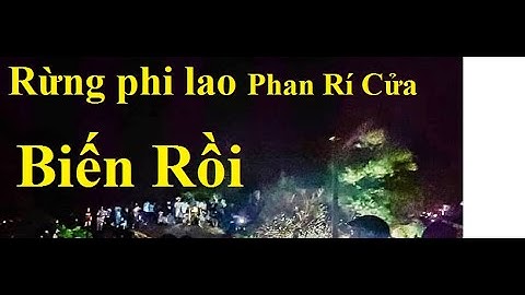 Khu rừng phi lao Phan Rí Cửa - Tuy Phong - Thuận có biến