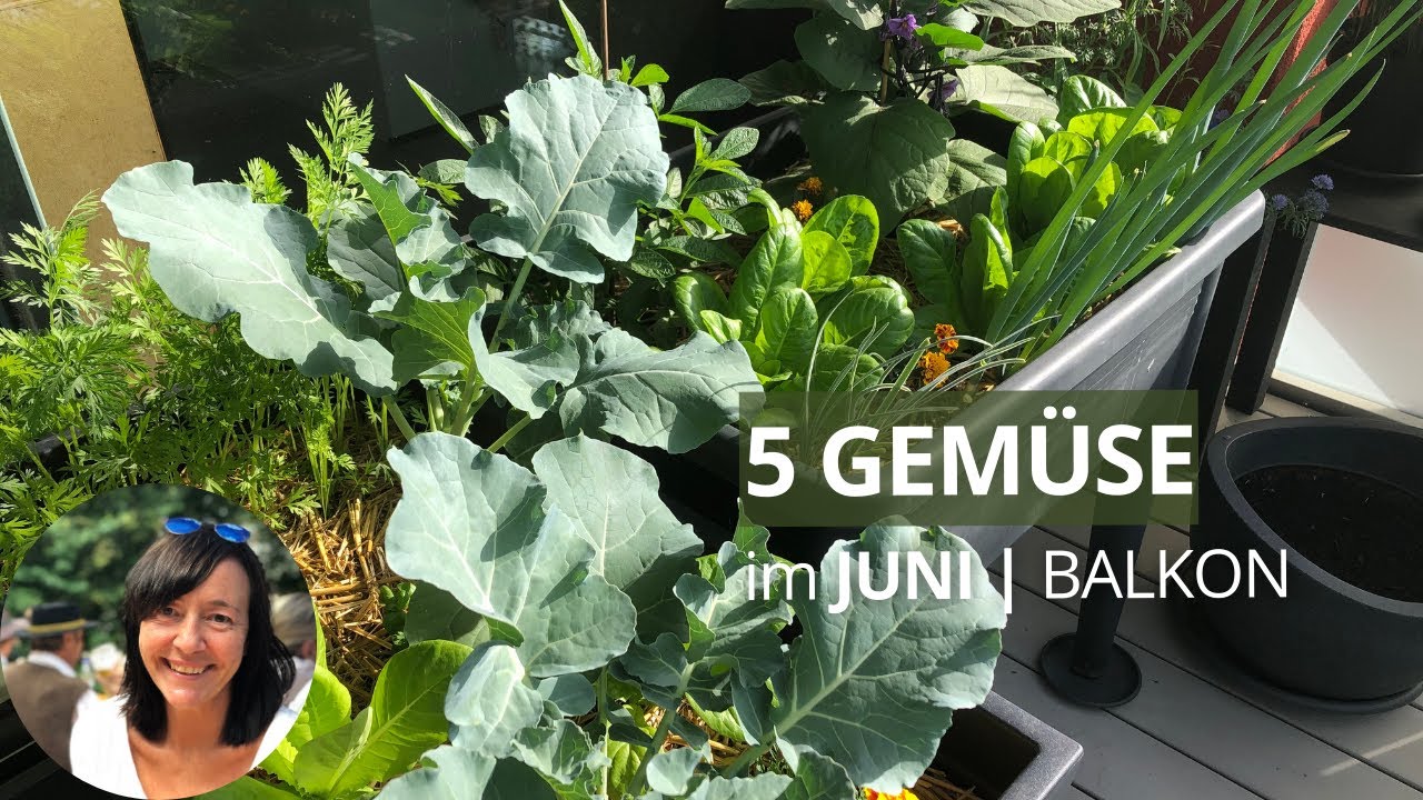 5 Gemüse für Anfänger, die du im Juni auf dem Balkon aussäen und pflanzen kannst