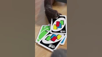 Thumbnail of Uno Edit | FoxTomas Animation
