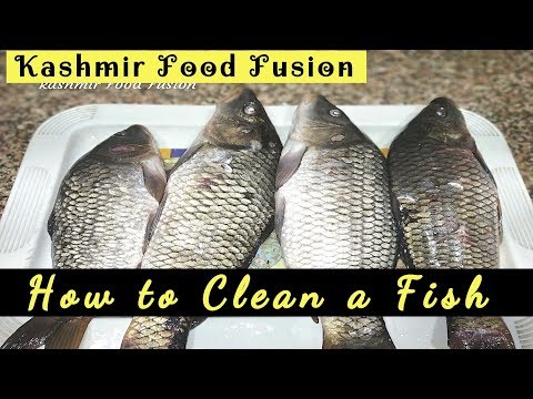 वीडियो: मछली को जल्दी से कैसे साफ करें