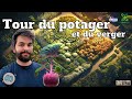 Tour du potager et des semis  o en eston dbut avril  saison 2 potager