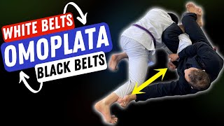 5 Ways To Set Up Omoplata Attacks (All Belts Must Know)