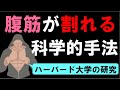 【ハーバード大学の研究】腹筋をバキバキに割る方法 ~下腹部が引っ込むトレーニングも含めて~