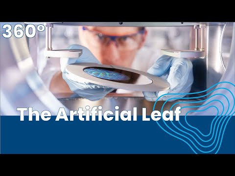 360° Science: The Artificial Leaf - Climate-neutral Method of Producing Hydrogen