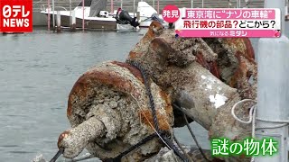 東京湾に“謎の車輪”…正体は半世紀前の戦闘機？（2020年12月11日放送「news every.」より）