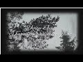 A Letter to Someone Whose Soul is Tired Right Now 💌  #upsc #HeartFeltLetter #warmhug #upscmotivation
