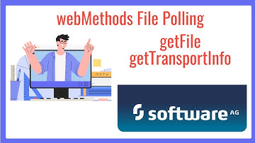 webMethods File Polling, getTransportInfo & getFile - 01