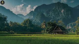 Rainfall That Makes You Feel at Home