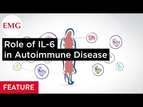 Video: IL-27 Förmedlar HLA-klass I-uppreglering, Som Kan Hämmas Av IL-6-vägen, I HLA-bristfälliga Småcells Lungcancerceller
