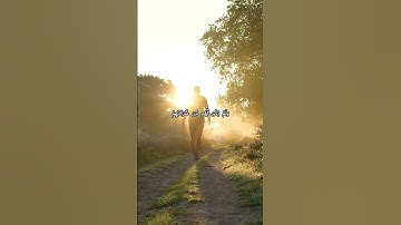 تلاوة خاشعة من سورة الروم | ياسر الدوسري | #ياسر_الدوسري #اكسبلور #quran #راحة_نفسية #تلاوة_خاشعة