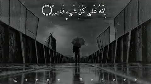 {وَمِن آياتِهِ أَنكَ تَرَى الأَرضَ خَاشِعَةً} تلاوة مؤثرة للشيخ إسلام صبحي Islam Sobhi