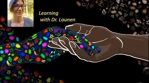 DrL Paired T Test in Google Sheets