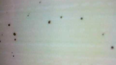 14.01.2020 تلاوة من صلاة المغرب للشيخ يوسف بن عاطي بمسجد أبي حامد الغزالي بوفريزي سورة الهمزة