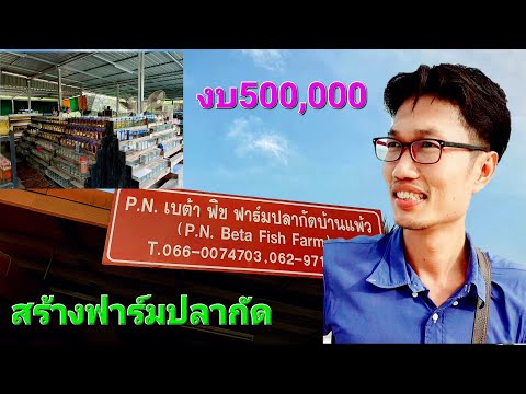 พาชมฟาร์มปลากัดใช้งบสร้าง500,000บ./PN Betta Farm